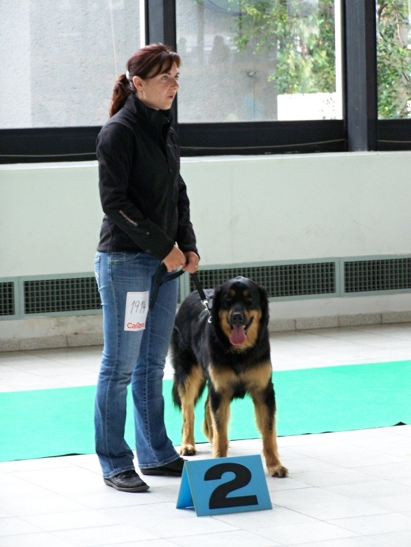 09 Brno Intercanis 26. 06. 2011