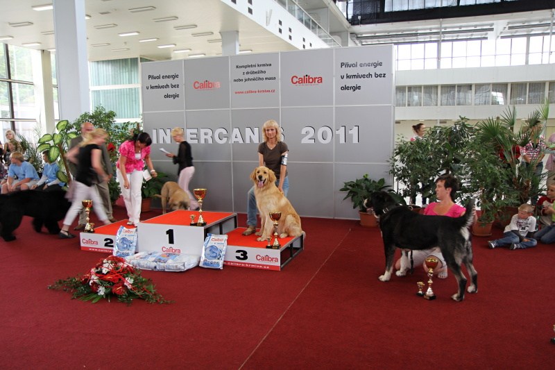 19 Brno Intercanis 26. 06. 2011