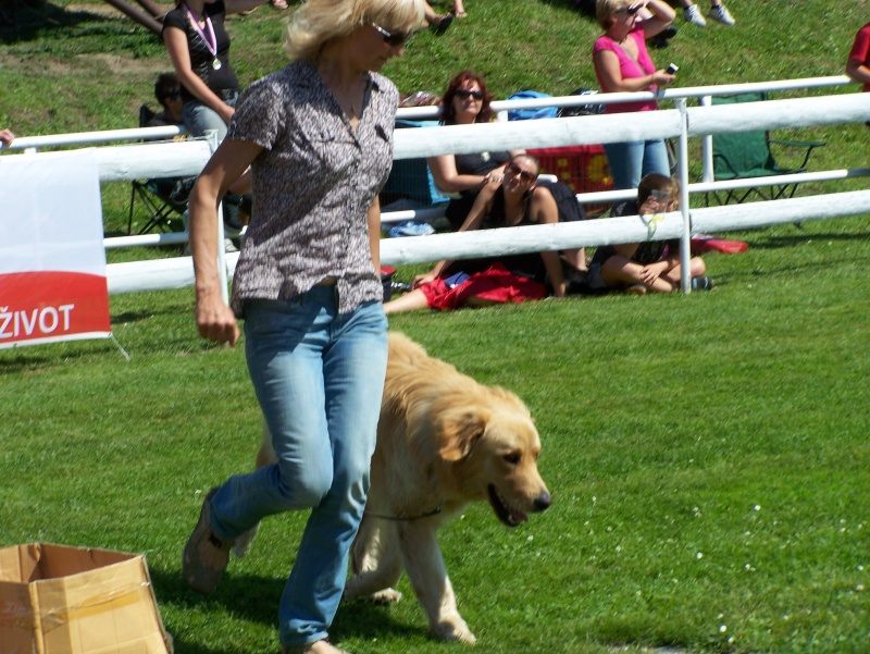 13 NV Mladá Boleslav 17. 07. 2011