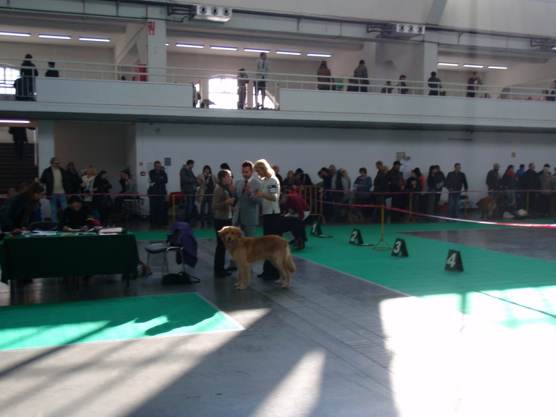 04 MVP Poznaň 22. 10. 2011