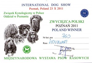 2011-10-23-mvp-poznan---polsky-vitez.jpg